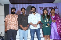 Nenu Meeku Baga Kavalsina Vadini Movie Trailer Launch